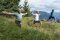 Drei Männer stehen auf einer Wiese in den Bergen und machen eine Yogaübung mit ausgebreiteten Armen.