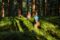 Drei Frauen sitzen beim Waldbaden inmitten eines Waldes und die Sonne fällt auf den grünen Waldboden.